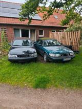 Saabine und Saabrina - Preis gilt für beide - Saab aus 1995: Cabrio