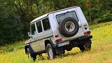 Mercedes-Benz G 290 Turbo, Sammlerbasis, Rahmen restauriert - Mercedes-Benz G 290: Von Privat
