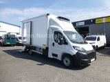 Peugeot Boxer Kühlkoffer Xarios 300 BÄR LBW Camera - Peugeot Koffer