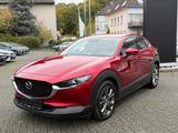 Mazda CX-30 Selection 2WD HUD MEMORY 360 GRAD - Mazda CX-3: Selection