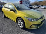 Volkswagen Golf VIII 1.5 TSI *Life*ASG*DAB*Navi*ACC*SHZ*Ein - : Gelb