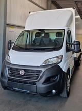 Fiat Ducato 35 Koffer + Ladebordwand | Automatik - Fiat Ducato Koffer Gebrauchtwagen