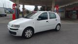 Fiat Punto 1.2i cat 5 porte 100milakm NEOP 2003 - gebrauchte Fiat Punto aus dem Jahr 2003
