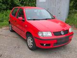 Volkswagen Polo 6n2 1.4 60ps - Volkswagen Polo aus 2000: 1.4