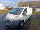 Fiat Ducato X250 - Fiat X