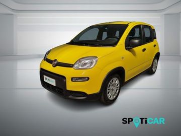 Fiat FIAT Panda 1.0 FireFly S&amp;S Hybrid