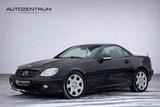 Mercedes-Benz SLK 230 Kompressor Final Edition*Leder*Tempomat* - Mercedes-Benz SLK-Klasse: Final Edition