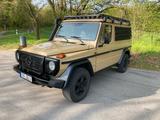 Mercedes-Benz G 300 CDI Professional - Rarität, sehr selten - Mercedes-Benz G 300: Cdi Professional