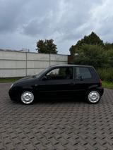Volkswagen VW Lupo 6x - Volkswagen Lupo: 6x