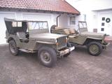 Jeep Hotchkiss M201 Willys Jeep Sammlerauflösung - Jeep Willys von privat