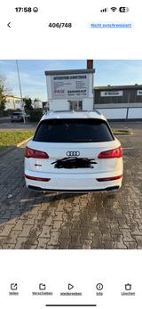 Audi SQ5 TDI tiptronic quattro - - Audi SQ5 in Mannheim