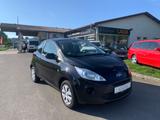 Ford Ka Champions Edition/SITZHEIZUNG/SCHEIBENHEIZUNG - gebrauchte Ford Ka/Ka+ aus dem Jahr 2013