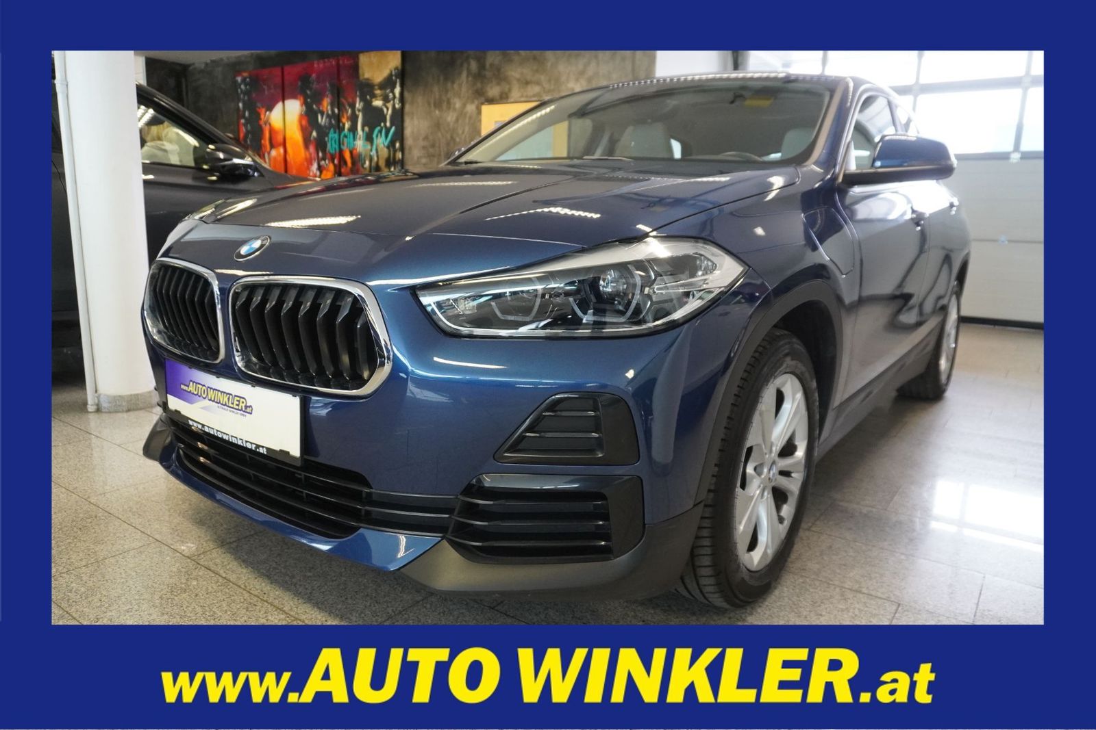 BMW X2 xDrive25e PHEV Aut. LED/Navi  
