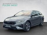 Skoda Octavia Combi RS 2.0TSI Matrix AHK 19Zoll 5JGara