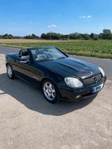 Mercedes-Benz Mercedes SLK R170 - Mercedes-Benz SLK-Klasse R170