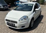 Fiat Punto 199 1.4 8V - Fiat Punto in Ludwigshafen