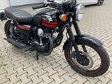Kawasaki W800 Sondermodell 1. Hd. Topzustand - KAWASAKI 800