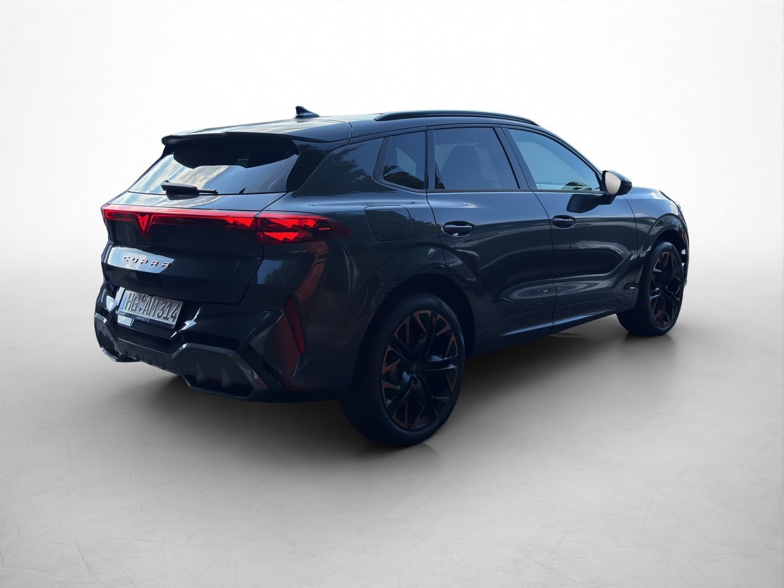 Cupra Terramar - Bild 2