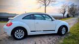 Volkswagen VW Beetle Käfer /160 PS /neue  Steuerkette... - Volkswagen: Sportwagen, Kaefer