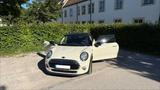 MINI Cooper 8x Alu SHZ Navi Sport Chili  - MINI MINI von privat