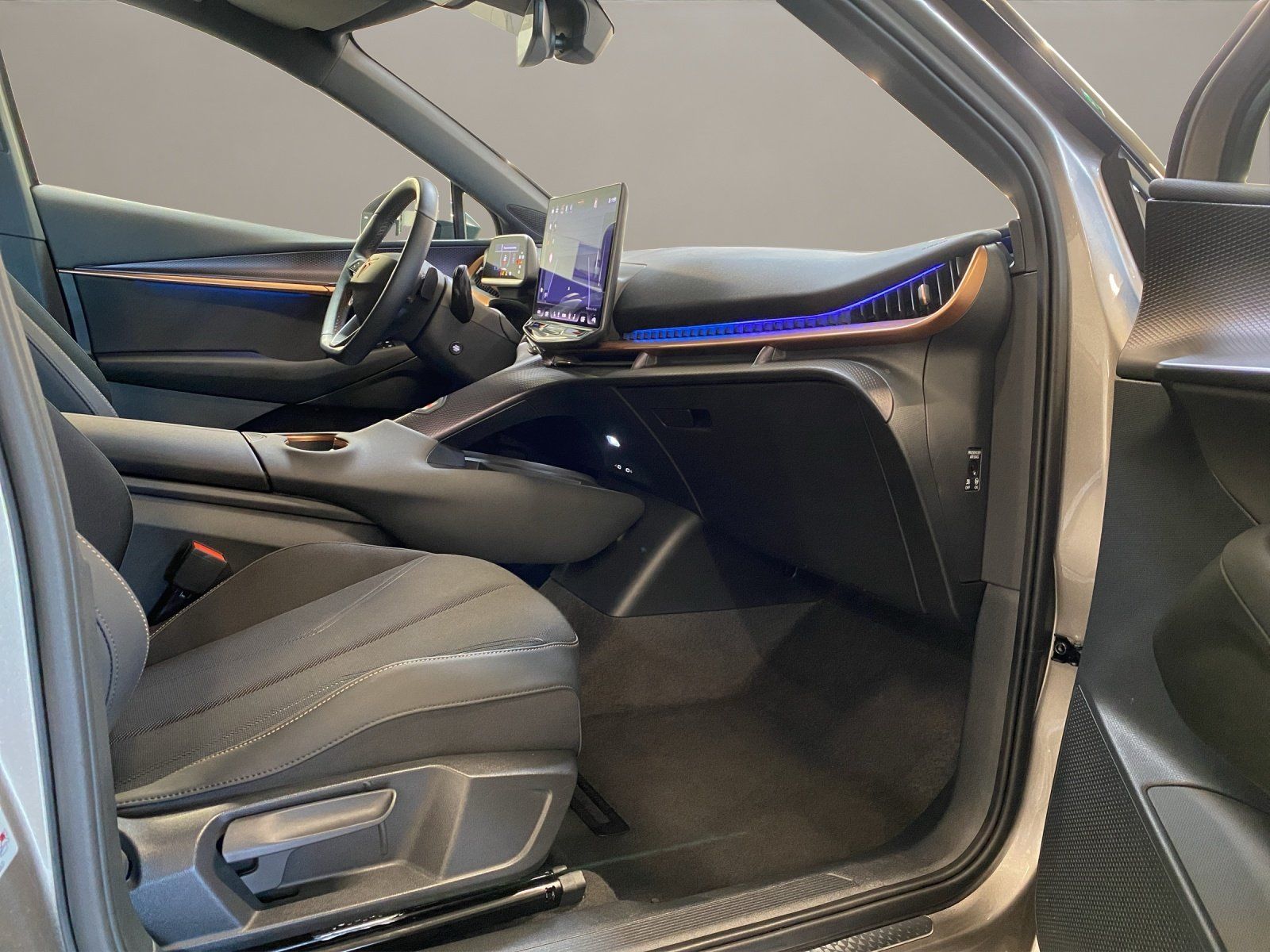 Cupra Tavascan - Bild 18