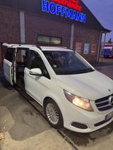 Mercedes-Benz V 250 d Aut. EXCLUSIVE EDITION lang EXCLUSIV... - Mercedes-Benz V-Klasse: Exclusive