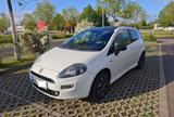 Fiat Punto Klima 1.2 Top Zustand! - Fiat Punto in Halle