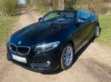BMW 218i Cabrio , Leder , Klima, SHZ,  8-fach - BMW: 2.8