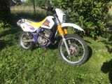 Suzuki DR 650