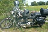 Harley-Davidson FXDWG Dyna Wide Glide  - HARLEY-DAVIDSON 2000 DYNA