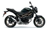 Suzuki SV650 Modell 2024!!! Tageszulassung Promo