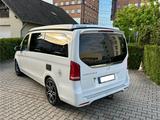 Mercedes-Benz V 250d Marco Polo Küche AMG Line Lang  - Mercedes-Benz V 250: AMG