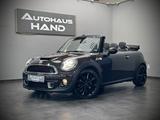 MINI COOPER_S COOPER S*CABRIO*HIGHGATE*PDC*VOLL-LEDER - MINI MINI: Braun