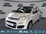 Fiat Panda Pandina 1.0 GSE Hybrid 48 kW Icon - Fiat Panda Gebrauchtwagen in Bielefeld