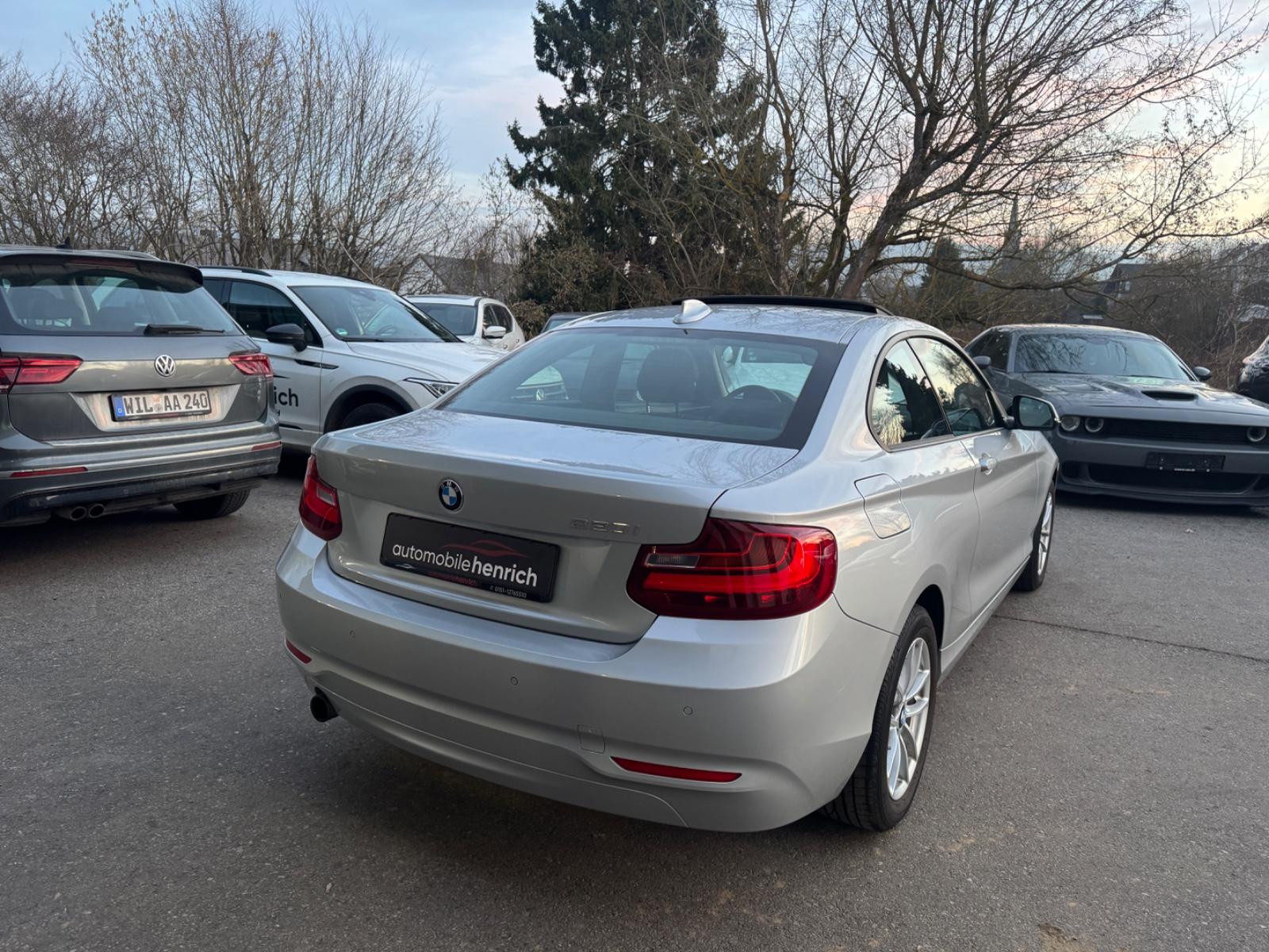 BMW 220i Coupe,Bi-Xenon,Schiebedach,Shz