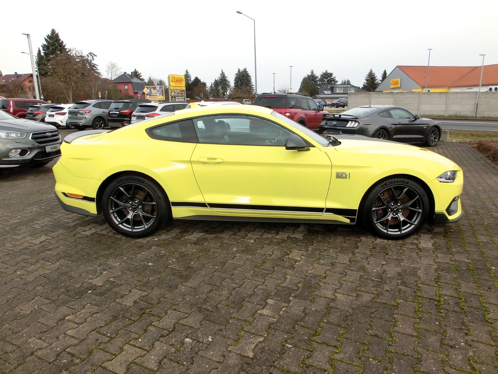 Fahrzeugabbildung Ford Mustang Mach 1 5.0l V8