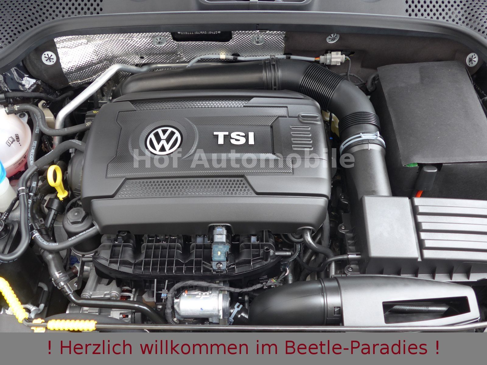 Volkswagen Beetle 2.0TSI DSG Exclusive R-Line Fender Kamera foto 20