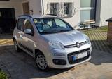 Fiat New Panda 1.2 8V LOUNGE, 5-Sitzer, HU 04/2028 - Fiat New Panda von privat