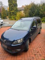 Volkswagen Caddy Maxi 7-Sitzer Roncalli Edition - Volkswagen Caddy Maxi: Roncalli