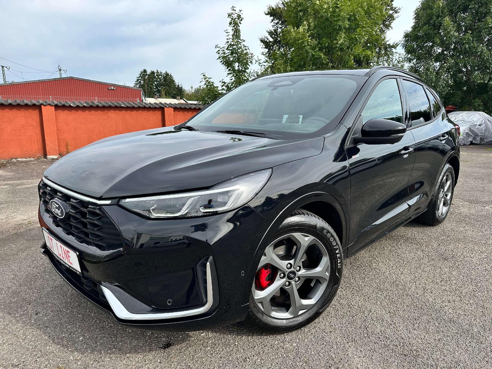Ford Kuga ST-Line X AHK, Panorama