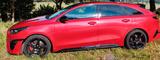 Kia pro_cee'd / ProCeed 1.6 T-GDI DCT GT GT - Kia pro cee'd / ProCeed aus 2023