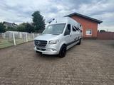 Mercedes-Benz Sprinter 319 4x2  Alphavan  *ON STOCK* - Mercedes-Benz 319