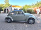 Volkswagen Käfer 1200 orig. Faltdach Liebhaberzustand !! - Volkswagen Käfer: Faltdach