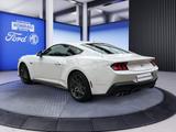 Ford Mustang Fastback GT 5.0 V8 Aut. - Ford Mustang New cars mit Benzin-Antrieb: Coupé