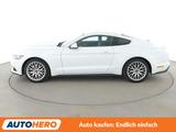 Ford Mustang 2.3 EcoBoost Basis*NAVI*TEMPO*CAM*PDC* - Ford: 3.2