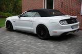 Ford Mustang 5.0 GT Grail Xtreme Black Sha... - Ford Mustang Gebrauchtwagen in Bremen