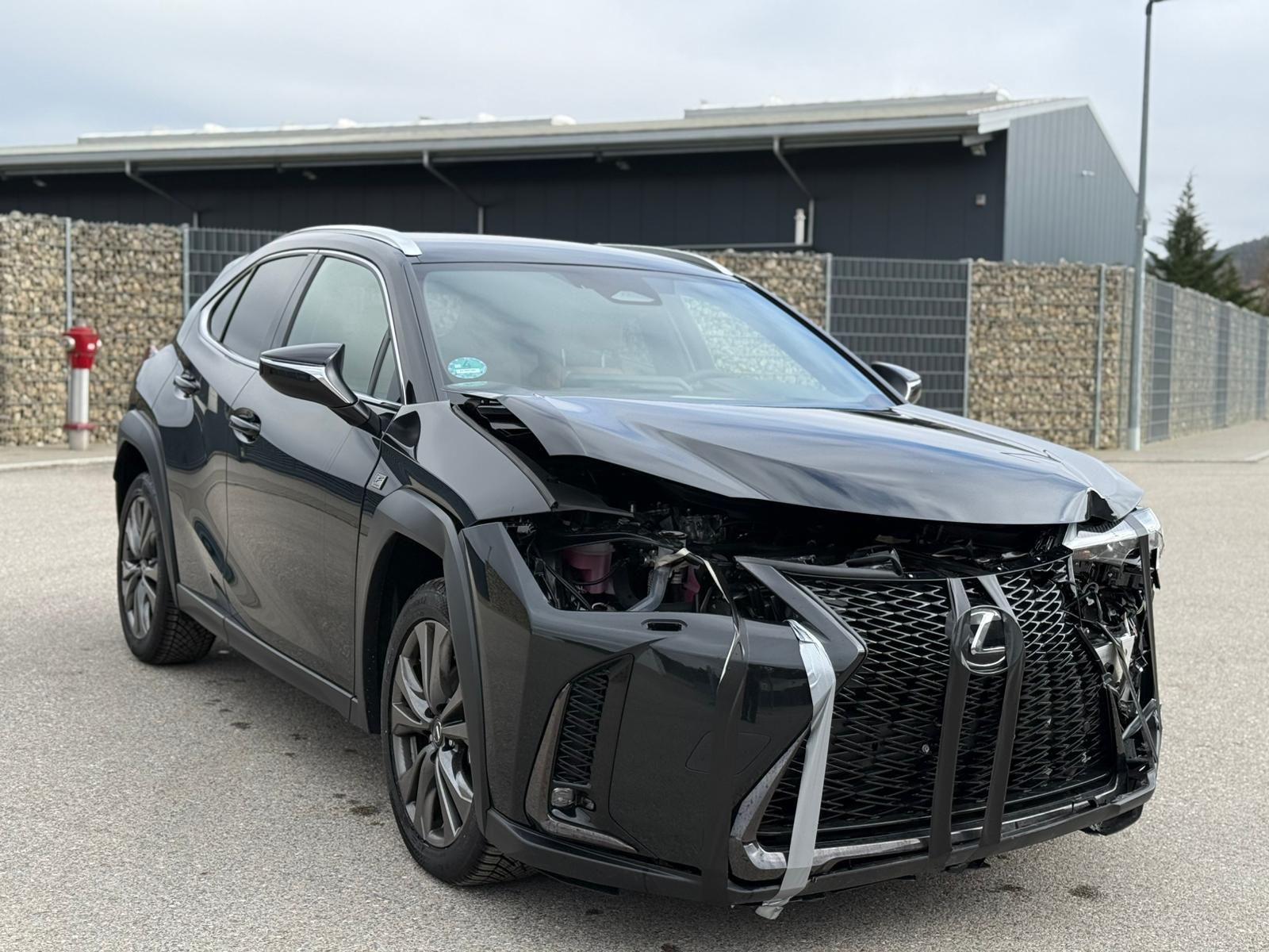 Lexus UX 300h F Sport Design Run & Drive