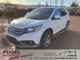 Honda CR-V 2.0 i-VTEC Executive 4WD Standhzg.|Winter|b - Honda CR-V mit Benzin-Antrieb: Automatik
