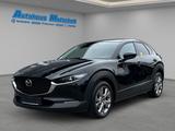 Mazda CX-30 Selection SKY.-G M Hybrid 150 HUD Navi Bos - Mazda CX-30 mit Benzin-Antrieb: Selection
