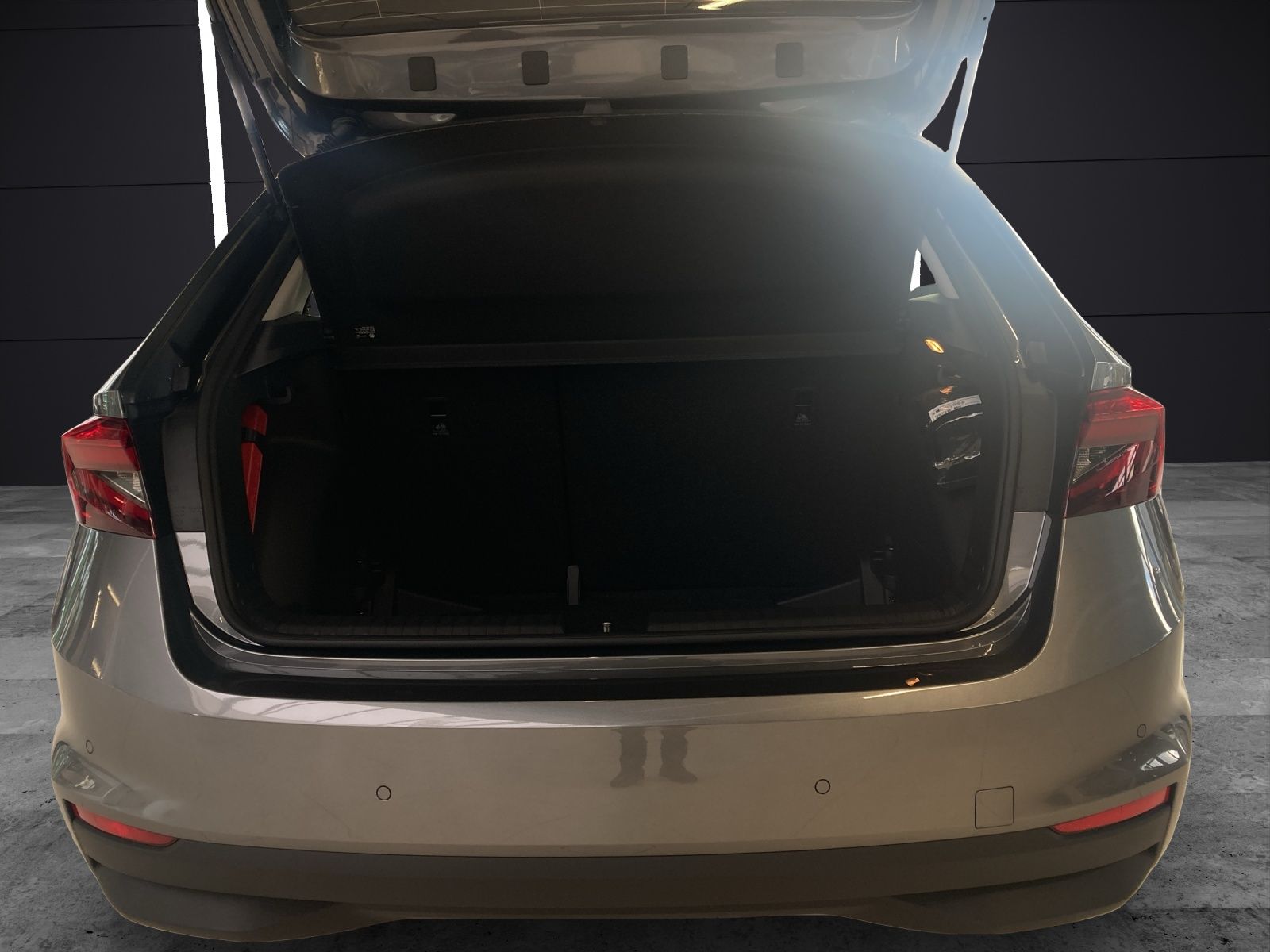 Fahrzeugabbildung SKODA Fabia TOUR LED NSW CLIMA KESSY